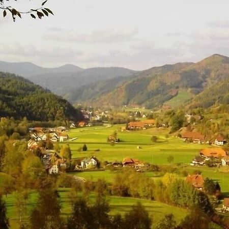 Oberbauernhof - Wohnung "Am Garten" -- Moderne Fewo Im Schoenen Schwarzwaldhaus 古塔赫 外观 照片