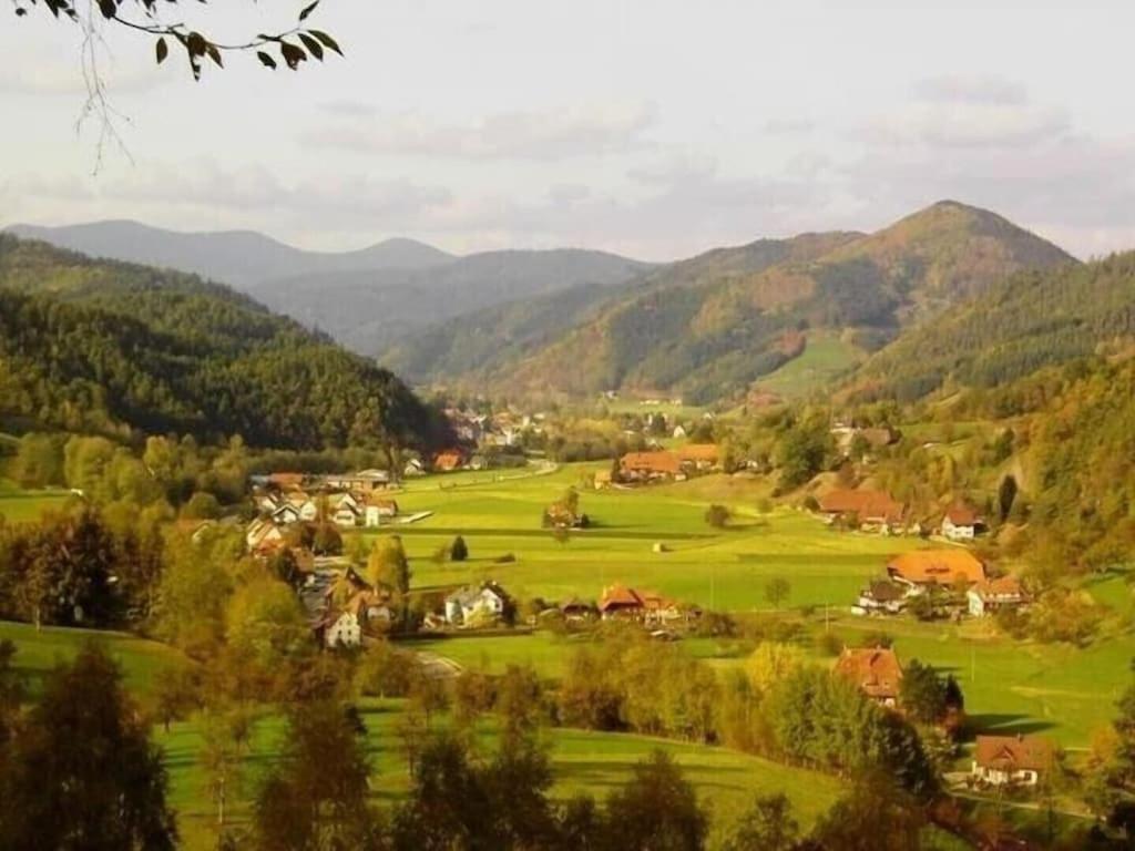 Oberbauernhof - Wohnung "Am Garten" -- Moderne Fewo Im Schoenen Schwarzwaldhaus 古塔赫 外观 照片